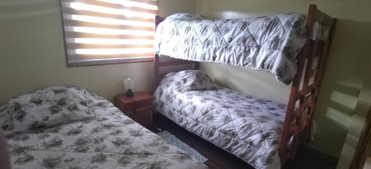 El Embrujo Patagon Apartment Coyhaique Ngoại thất bức ảnh